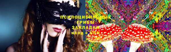 гашик Арсеньев