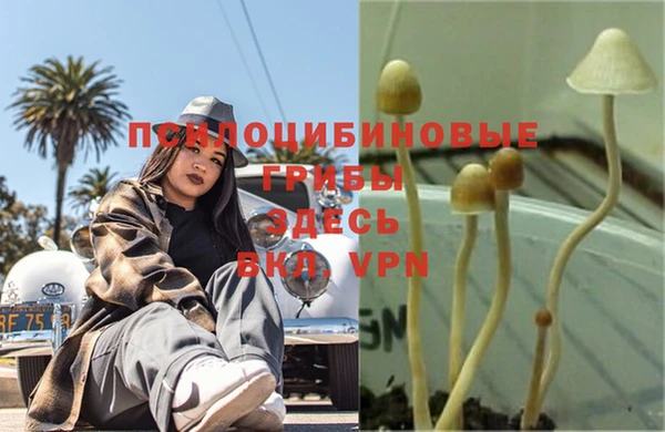 дживик Армянск