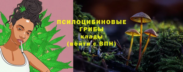 дурь Аркадак