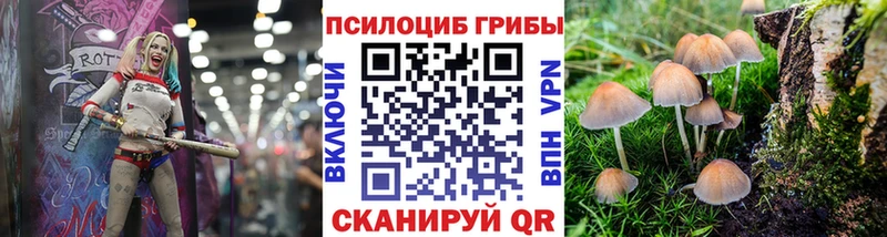 Псилоцибиновые грибы ЛСД  shop наркотические препараты  Перевоз 